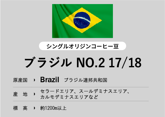 ブラジル NO.2 17/18